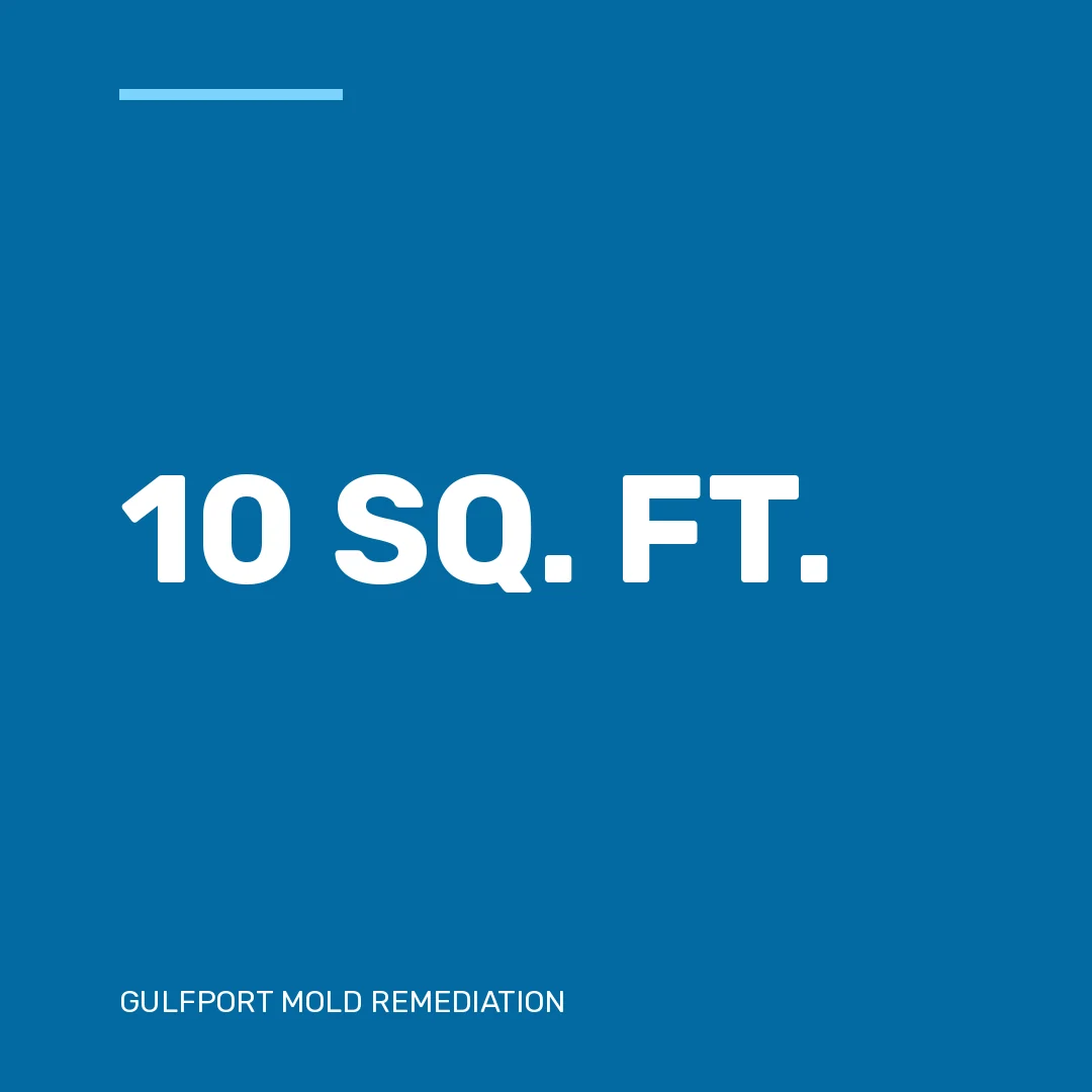 10 sq. ft.